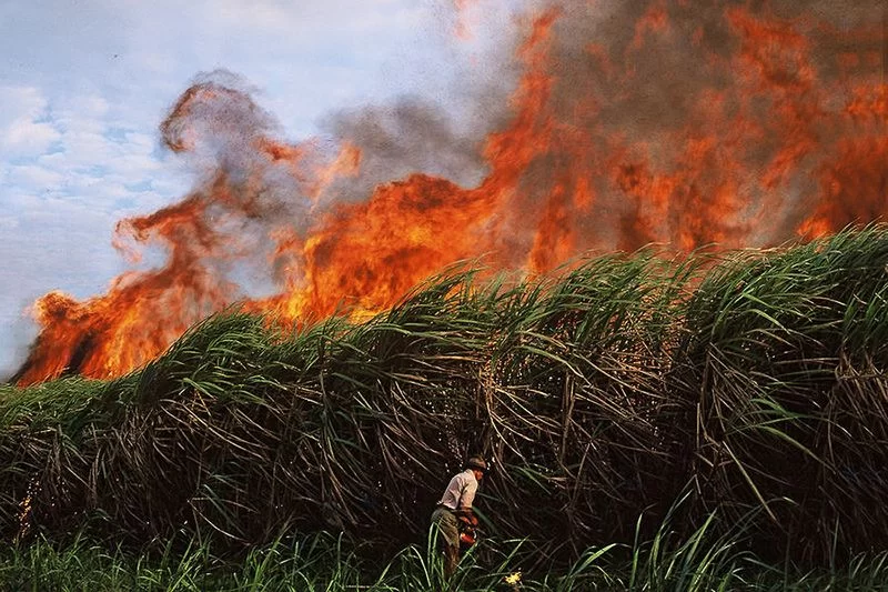 خط و نشان معاون رئیس‌جمهور برای ناصری